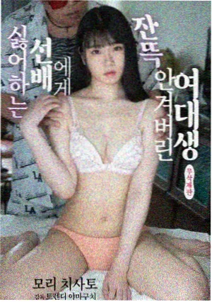 夏日信号剧集封面